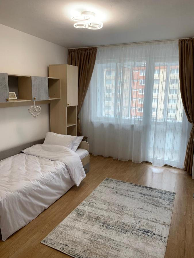 Victoriei Boulevard Private Apartment ブラショフ エクステリア 写真