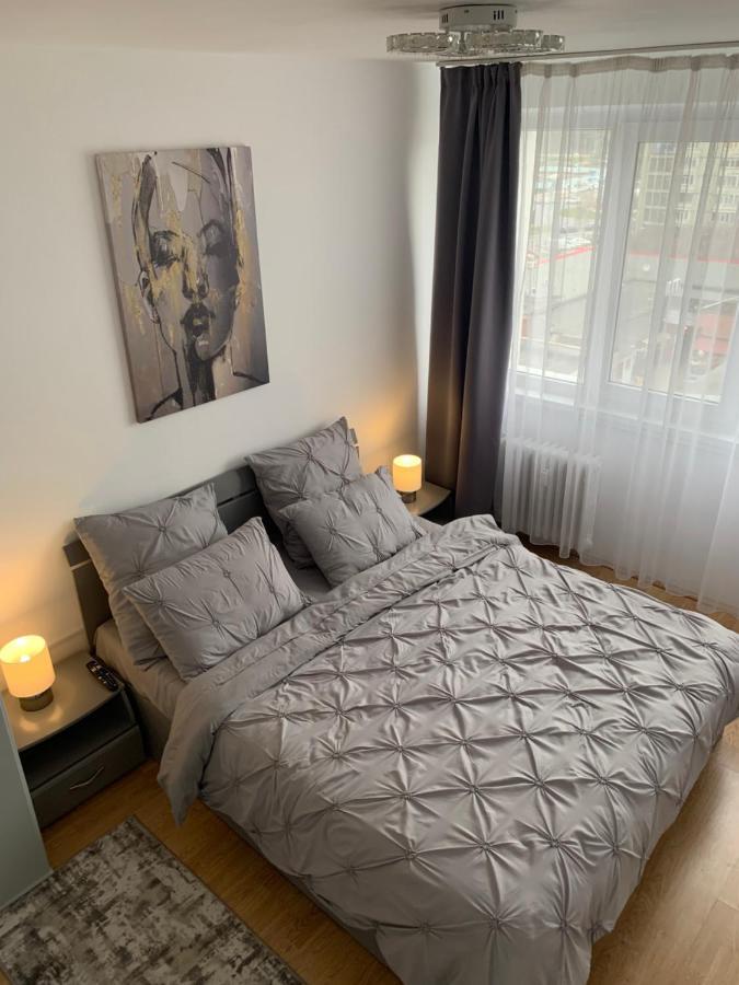 Victoriei Boulevard Private Apartment ブラショフ エクステリア 写真