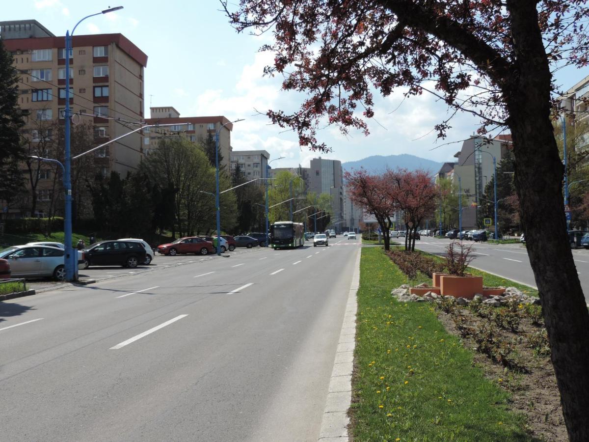Victoriei Boulevard Private Apartment ブラショフ エクステリア 写真