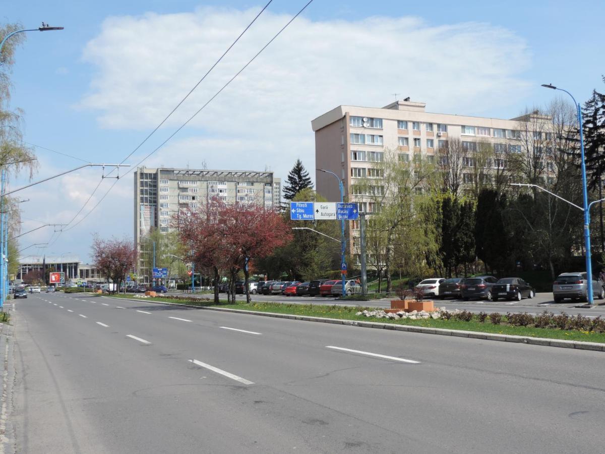 Victoriei Boulevard Private Apartment ブラショフ エクステリア 写真