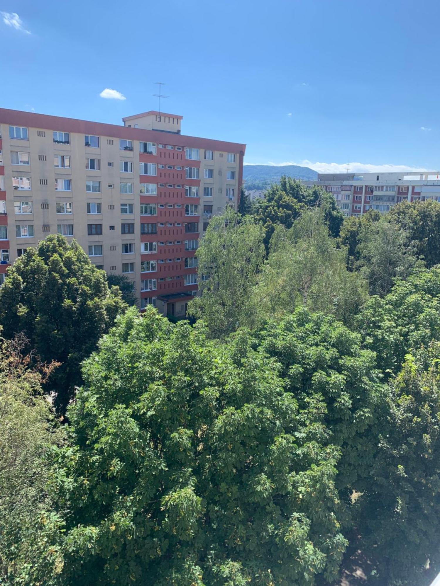 Victoriei Boulevard Private Apartment ブラショフ エクステリア 写真